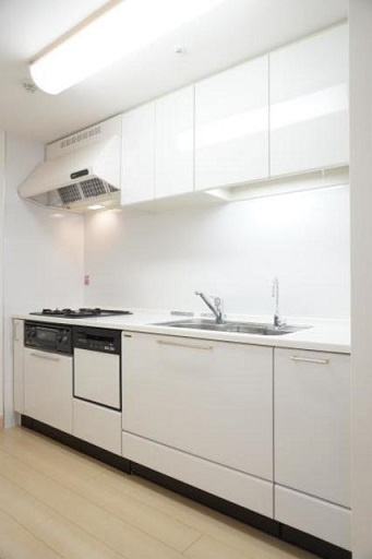 港区西新橋１丁目の賃貸マンションのキッチン
