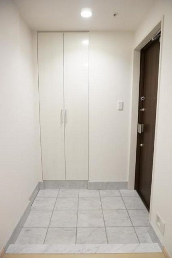 港区西新橋１丁目の賃貸マンションの玄関