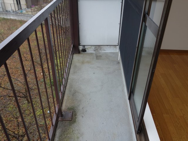 アイビーのバルコニー