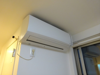 【その他】 | ファレノプシス