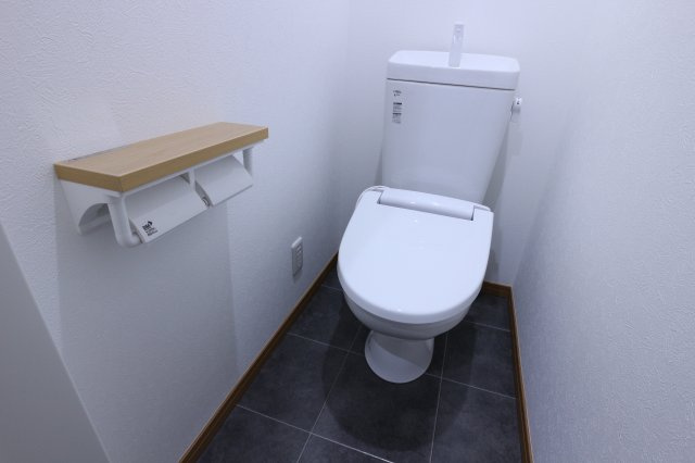 パルフラッツ王居殿のトイレ