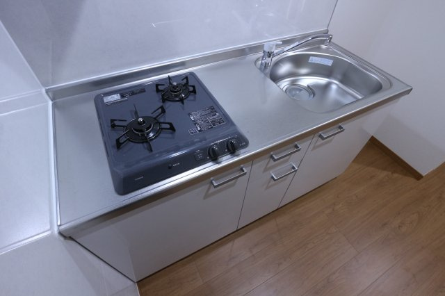 パルフラッツ王居殿のキッチン