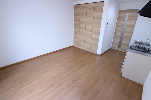 パルフラッツ王居殿の洋室