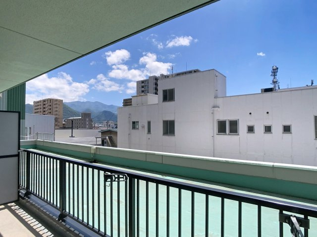 ハイデンスニーズの展望