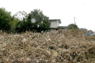 【その他】 | 加西市別府町