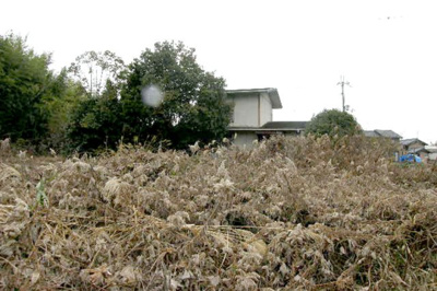 【その他】 | 加西市別府町