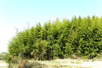 【その他】 | 加西市別府町