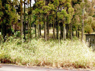 【その他】 | 多可郡多可町加美区多田