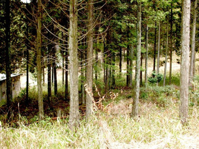 【その他】 | 多可郡多可町加美区多田