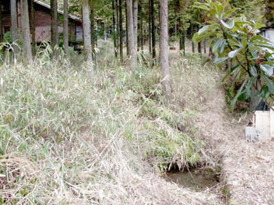 【その他】 | 多可郡多可町加美区多田