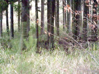 【その他】 | 多可郡多可町加美区多田