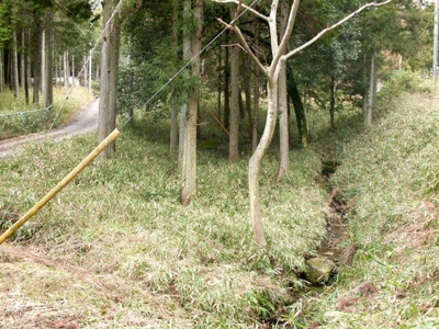 【その他】 | 多可郡多可町加美区多田