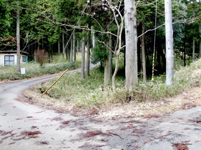 【その他】 | 多可郡多可町加美区多田