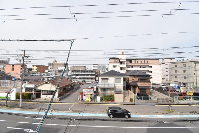 フェリスビラの展望