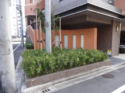 【エントランス】 | コアマンションフリージオ上野 | コアマンションフリージオ上野