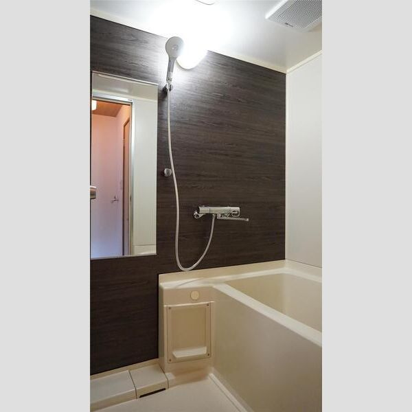 ドミール・クレセントAの浴室