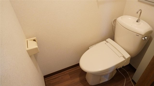 ドミール・クレセントAのトイレ