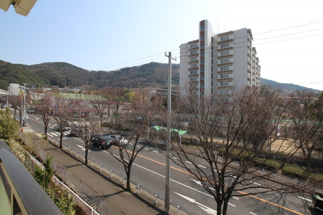 サンタウン林の展望