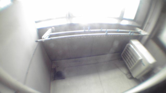 中央区勝どき６丁目の賃貸マンションのその他|バルコニー・同反転タイプ参照