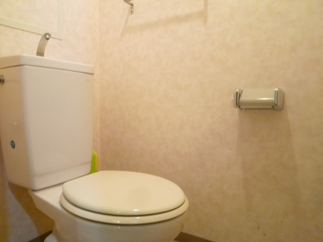 プレサンス難波東のトイレ|清掃前です。