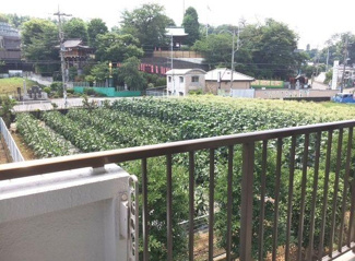 【展望】 | ※別室参考写真