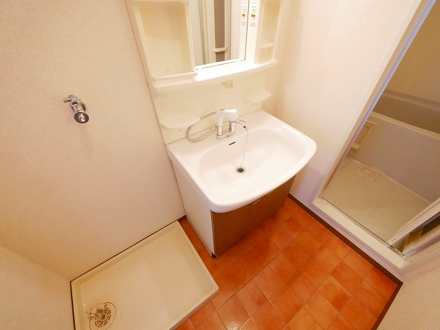 カワゼハイツ桜が丘2の洗面所