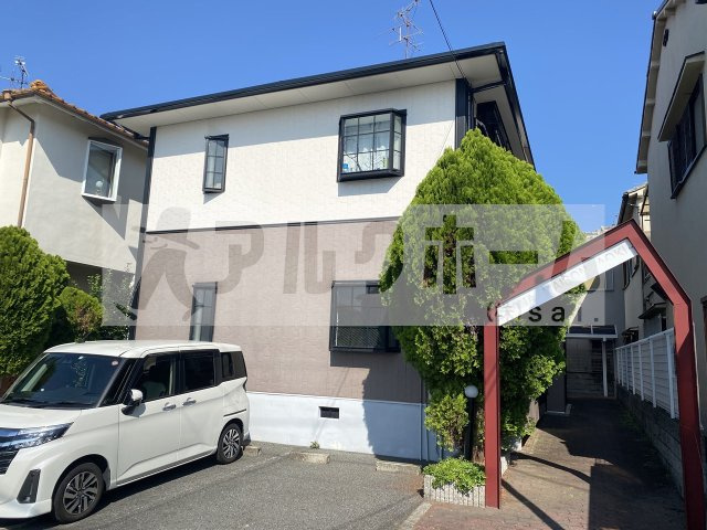 パナメゾンアオキ