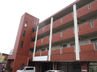 ラフィーヌ千葉の画像