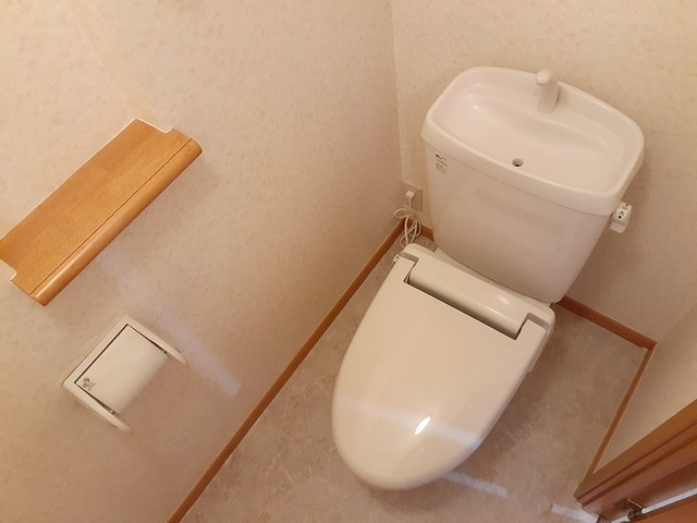 コンフィデンス・コートのトイレ