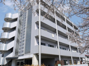 ホールズ1号館の画像