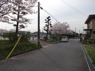 【周辺】 | 東神吉町メゾネット（福島邸） | 目の前に公園あります！桜が綺麗ですよ！