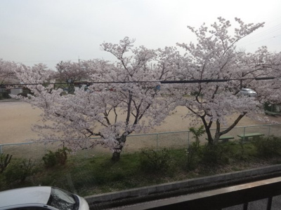【展望】 | 東神吉町メゾネット（福島邸） | 目の前の公園は桜が綺麗～！