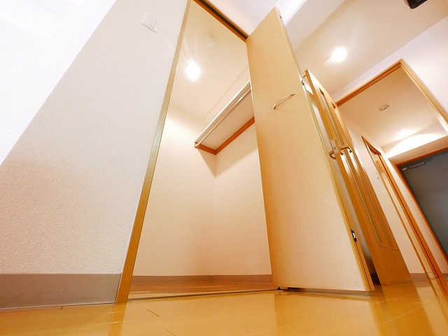 ルミエール　ドゥ　ソレイユの収納|こまごまとしたものを収納できそうですね