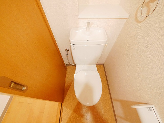 ルミエール　ドゥ　ソレイユのトイレ|落ち着いたトイレです