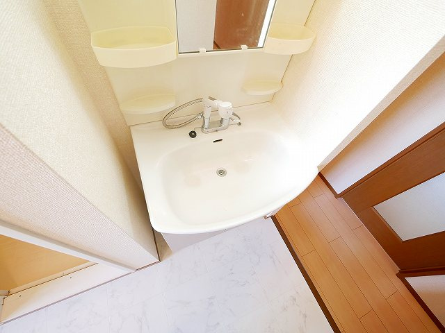 ベルメゾン大幸Bの洗面所|洗面所です