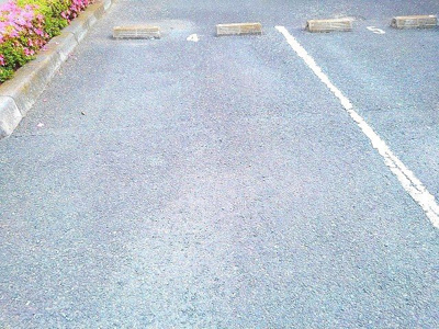 【駐車場】 | サンフィリア栄Ｂ