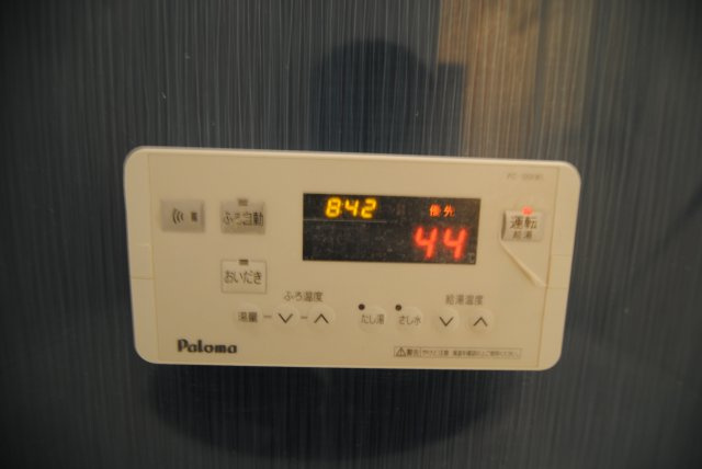 グリーンカトレアのその他