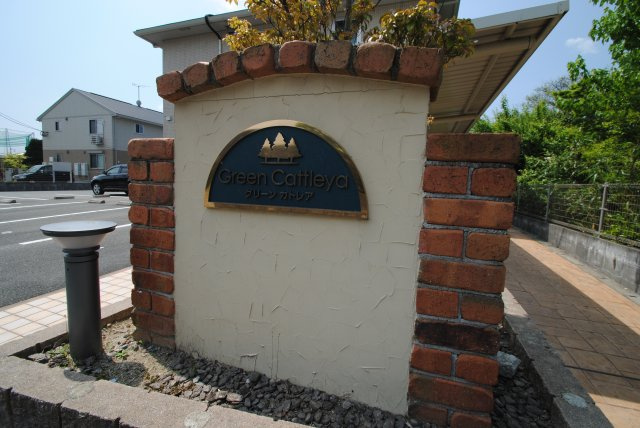 グリーンカトレアのその他