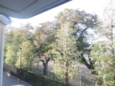 【展望】 | エトワール国立