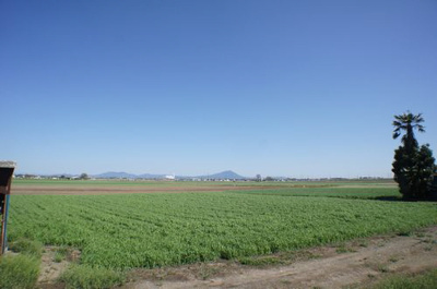 【展望】 | ビューテラス