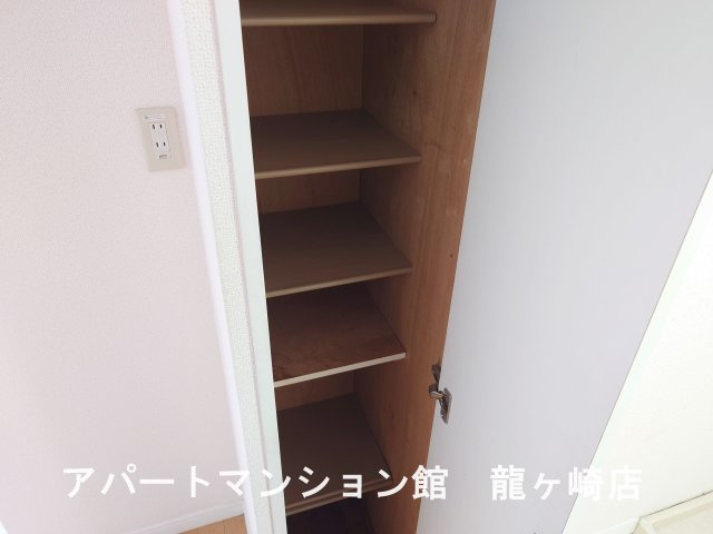 リュウガオカチュウオウ