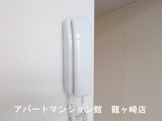 リュウガオカチュウオウのセキュリティ