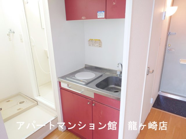 リュウガオカチュウオウのキッチン