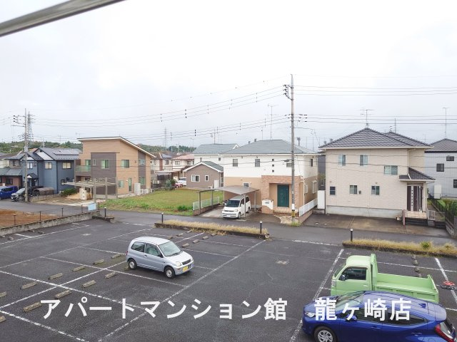 リュウガオカチュウオウの展望