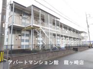 リュウガオカチュウオウの画像