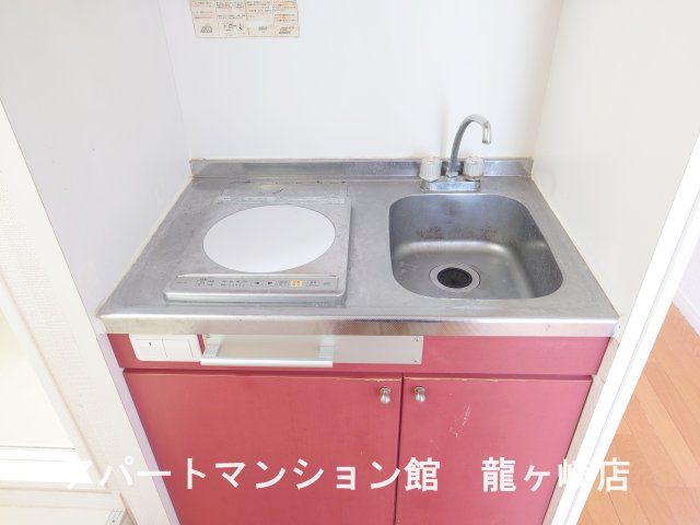 リュウガオカチュウオウのキッチン