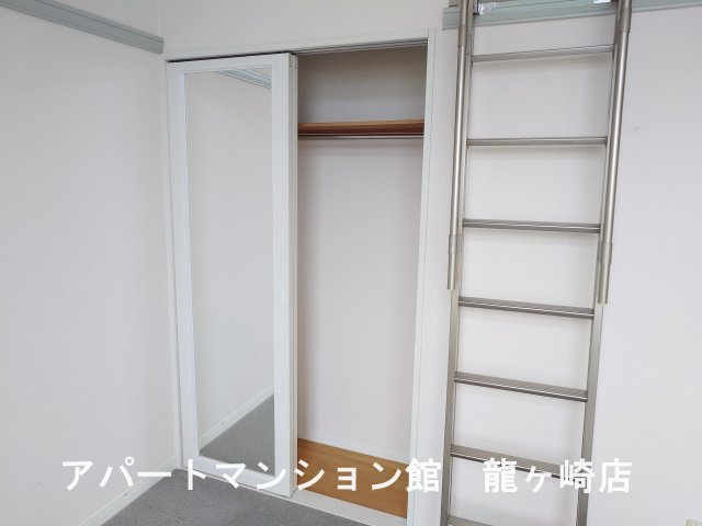 リュウガオカチュウオウの収納