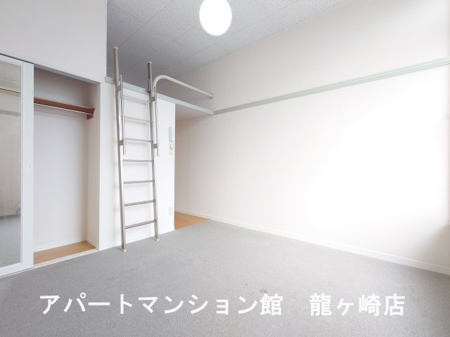 リュウガオカチュウオウの寝室
