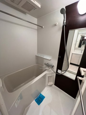 【浴室】 | プレセダンヒルズ白金高輪 | プレセダンヒルズ白金高輪