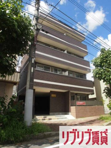 ハーミットパープルの外観